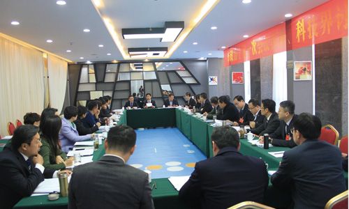 政協委員分組討論劉星泰講話審議市政協常委會工作報告和提案工作報告